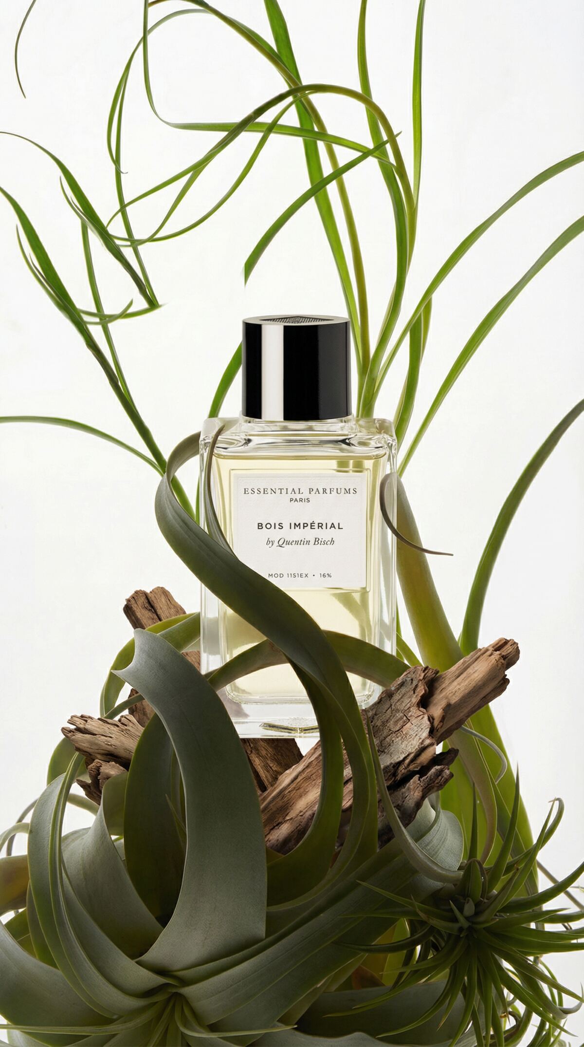Odore d'Amore fragrance ad creative by DeviLabs